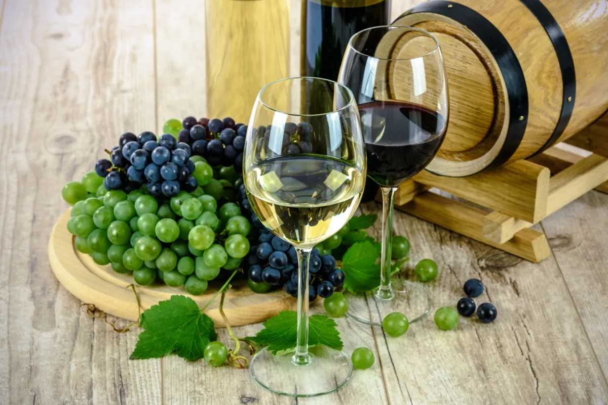 Taças de vinho ao lado de uvas e barris